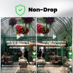 Non Drop Likes